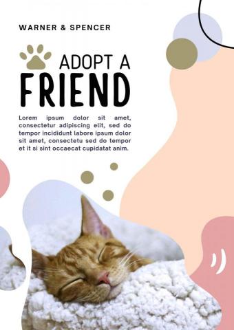 Moon&Design -  Moon&Design -