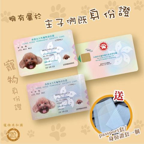 Brainminer - Instagram post design & photo shooting