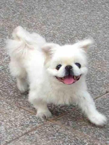 yomi - 天使寶貝 yomi - 天使寶貝