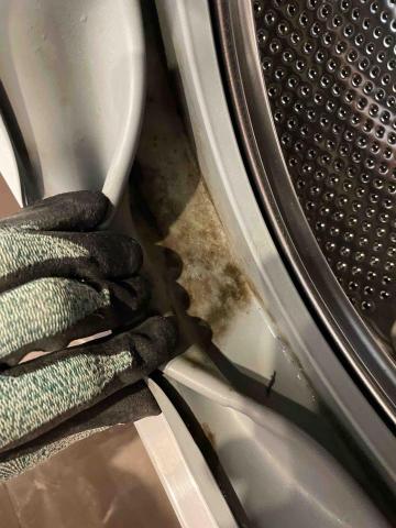 陳師傅 - 膠圈發霉 陳師傅 - 膠圈發霉