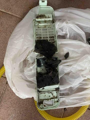 陳師傅 -  陳師傅 -