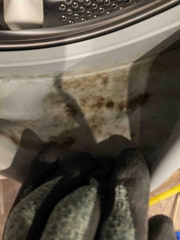 陳師傅 -  陳師傅 -