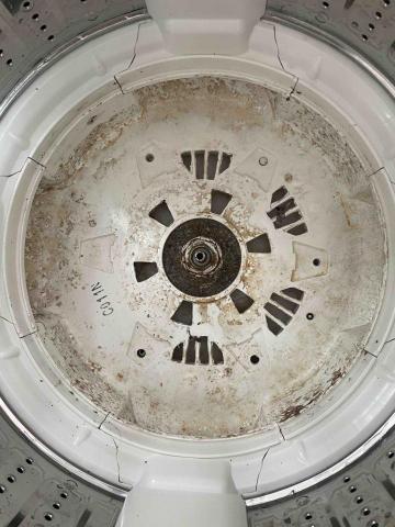 陳師傅 -  陳師傅 -