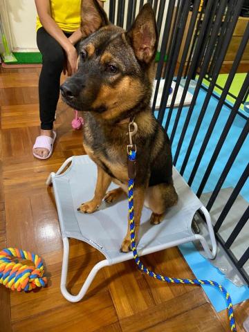 Carsten Cheung -  Carsten Cheung -