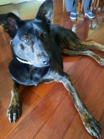 Carsten Cheung -  Carsten Cheung -