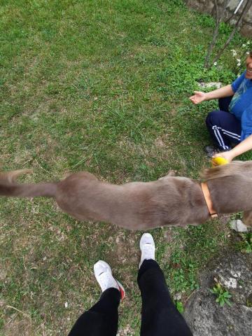 Carsten Cheung -  Carsten Cheung -