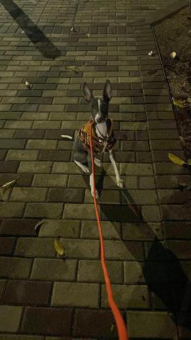 Carsten Cheung -  Carsten Cheung -