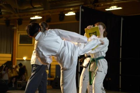 阿全 - 活動攝影範例
這個是韓國學會舉辦的活動，跆拳道表演