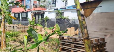 甲殼類大頭呆 - 施工前