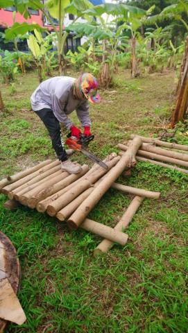 甲殼類大頭呆 - 園藝鋸木