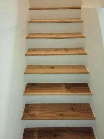 甲殼類大頭呆 - 整棟翻新設計