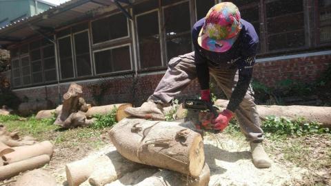 甲殼類大頭呆 - 園藝鋸木