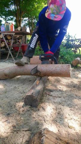 甲殼類大頭呆 - 施工中