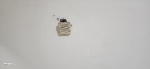 甲殼類大頭呆 - 牆面整修前