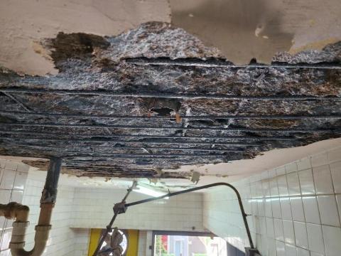 專業營造工程有限公司 - 