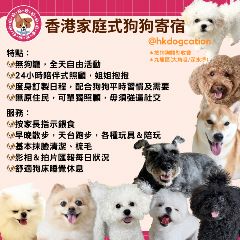 HKdogcation - 