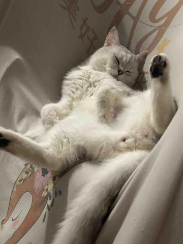 Chor Yan Kitty Lau - 完全放鬆