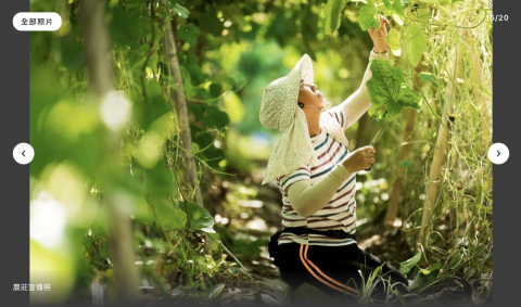 Bobby Photography - 農莊宣傳照