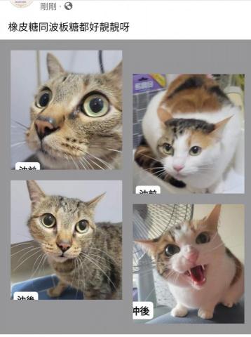 寵愛之家上門美容 - 