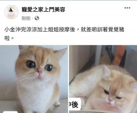 寵愛之家上門美容 - 