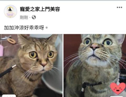 寵愛之家上門美容 - 