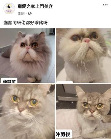 寵愛之家上門美容 - 