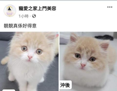 寵愛之家上門美容 - 