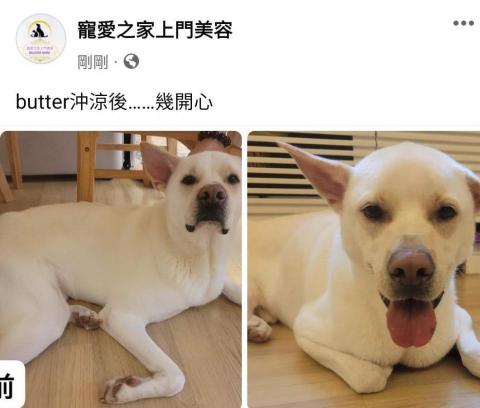 寵愛之家上門美容 - 