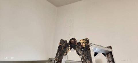 甲殼類大頭呆 - 地震裂縫