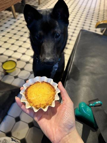 Crystal Fu - 喜歡帶狗狗一齊去街玩❤️ Crystal Fu - 喜歡帶狗狗一齊去街玩❤️