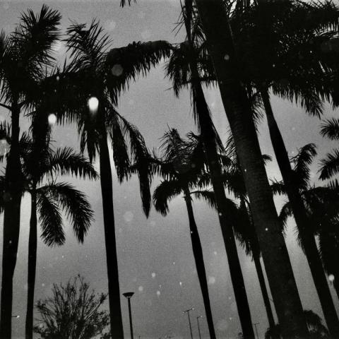 Sam Yip