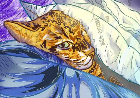 _lky.__ - 畫作參考（電繪）