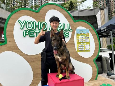 HHH Dog Training  -  HHH Dog Training  -