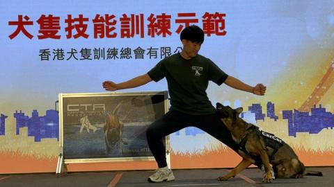 HHH Dog Training  -  HHH Dog Training  -