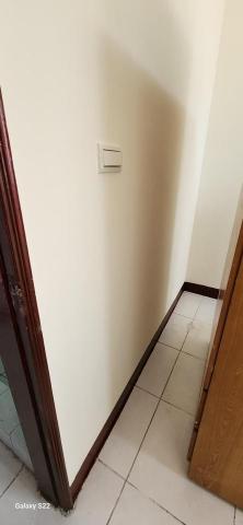 甲殼類大頭呆 - 新竹市，社區：建華龍門，油漆完成品