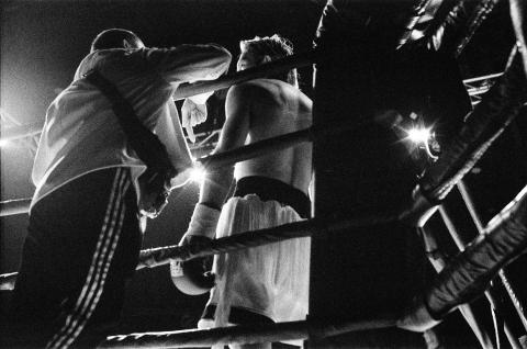 Jack Chau - 職業拳賽 Jack Chau - 職業拳賽