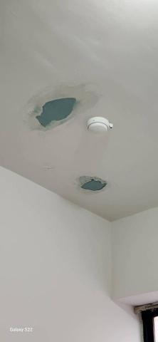 甲殼類大頭呆 - 新竹市，社區：建華龍門，AB膠施工