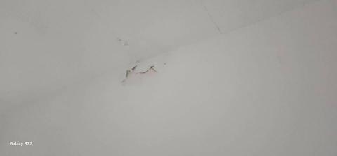 甲殼類大頭呆 - 新竹市，社區：建華龍門，油漆剝落施工前