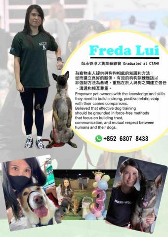 Freda dog training - 