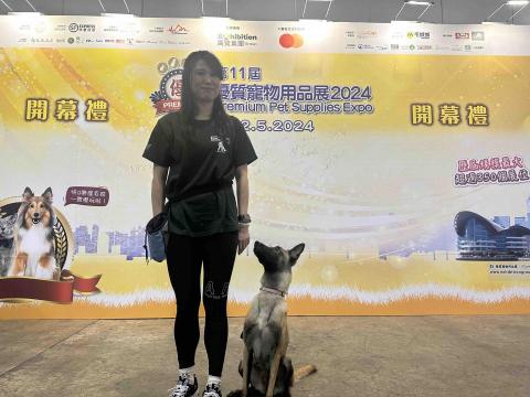 Freda dog training - 