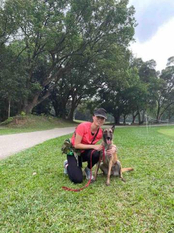 Freda dog training - 同London 去 粉嶺golf 場