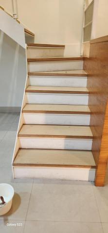 甲殼類大頭呆 - 施工前