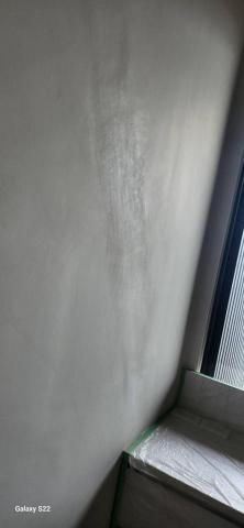 甲殼類大頭呆 - 新竹縣竹北市，社區：國賓大悅，局部批土研磨