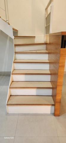 甲殼類大頭呆 - 施工中