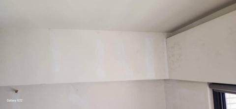 甲殼類大頭呆 - 新竹縣竹北市，社區：家華國寶，批土完成