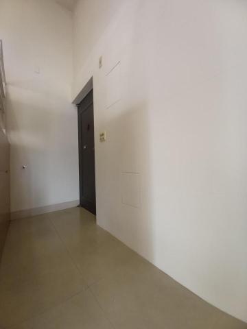 甲殼類大頭呆 - 新竹縣竹北市，社區：家華國寶，完成品