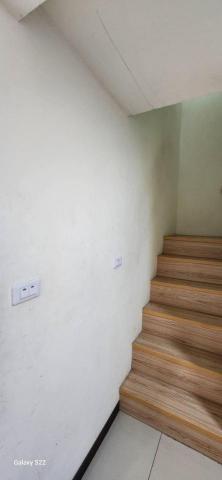 甲殼類大頭呆 - 苗栗縣竹南鎮，社區：La More 施工前