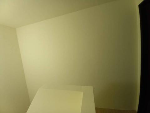 甲殼類大頭呆 - 苗栗縣竹南鎮，社區：La More，油漆完成品