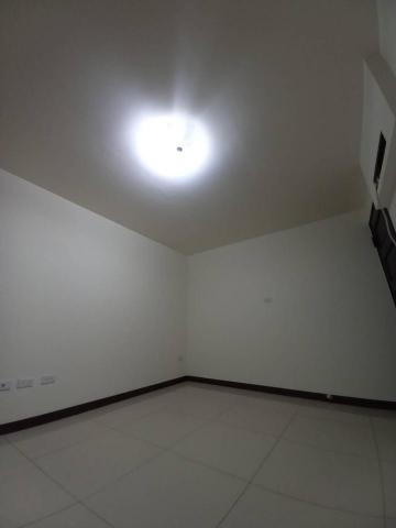 甲殼類大頭呆 - 苗栗縣竹南鎮，社區：La More，油漆完成品