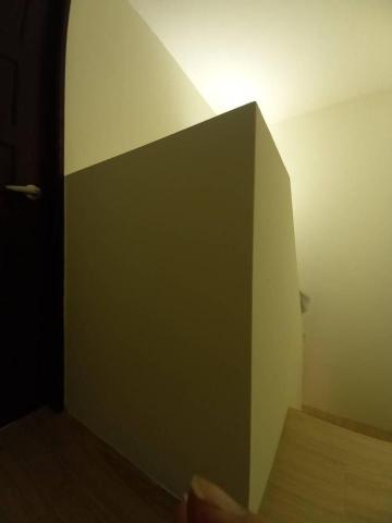 甲殼類大頭呆 - 苗栗縣竹南鎮，社區：La More，油漆完成品